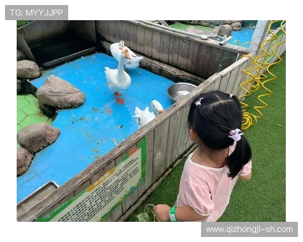 草地创意游戏推荐让孩子们尽情玩耍探索提升动手与协作能力